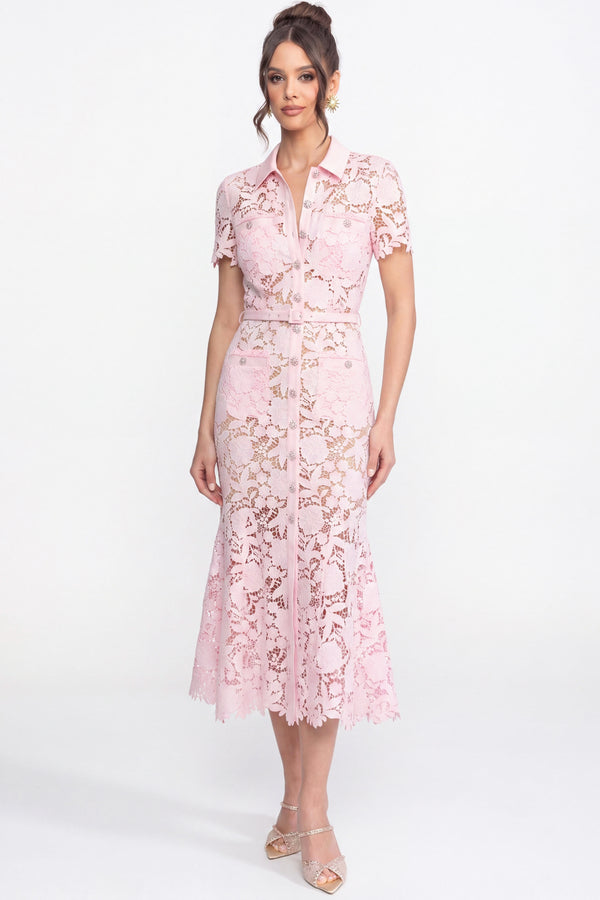 Midikleid aus Spitze mit kurzen Ärmeln, Kragenausschnitt und tailliertem Gürtelbund - Pink 