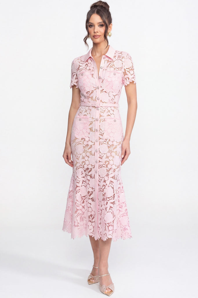 Midikleid aus Spitze mit kurzen Ärmeln, Kragenausschnitt und tailliertem Gürtelbund - Pink 